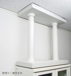 イーサポート Lサイズ(55-80cm)ホワイト