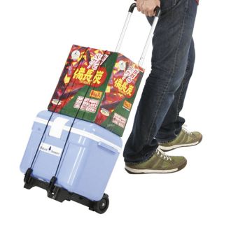 マイティハンドキャリー - 画像 (5)