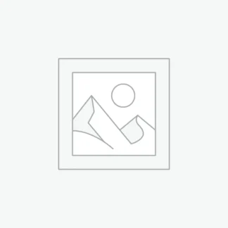 オープニングセール